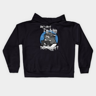 Funny tech support tee Kids Hoodie